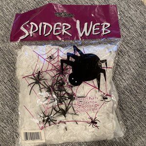 Spider web Halloween Decorations